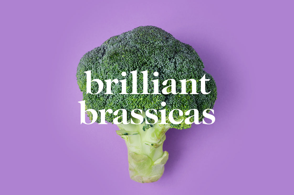 What Do You Know About Brilliant Brassicas?