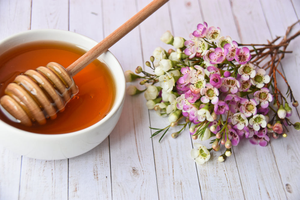 MGO vs. UMF: Your Guide To Two Popular Manuka Honey Rating Systems