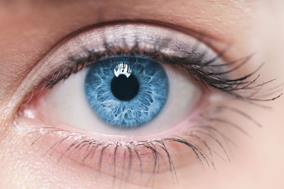 National Eye Health Week is fast approaching...