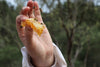Hand holding honeycomb with bees against a blurred natural background