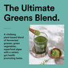 Udo's Choice Beyond Greens – Organic Fermented Greens Powder